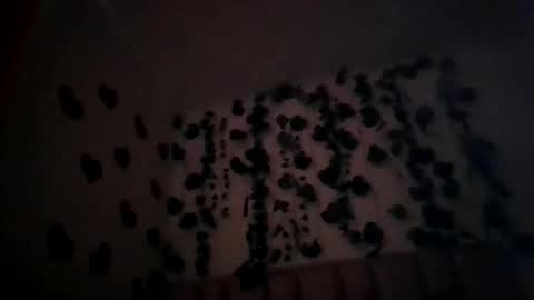 abby_moss_2 online show from April 2026 12:49:01 PM