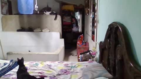 Abby online show from January 2025 11:50:02 PM