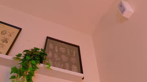 A B B Y online show from February 2026 12:02:01 PM