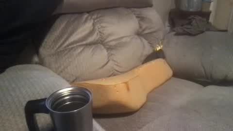 abe_froman2007 online show from January 2025 04:33:02 AM