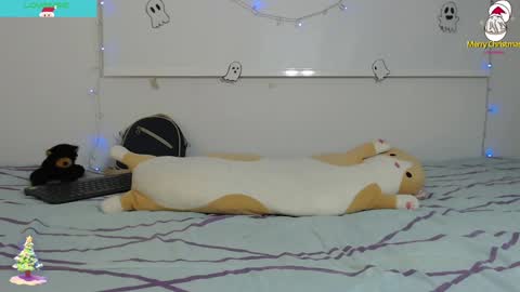 Aby online show from December 2024 04:34:02 AM