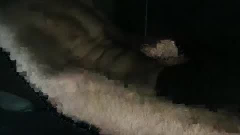 acid_lab online show from December 2024 02:27:01 PM