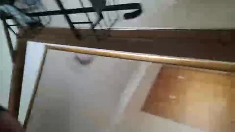 adamlucas54321s773712 online show from October 2025 01:36:02 AM