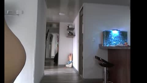 eva online show from February 2026 04:00:02 PM