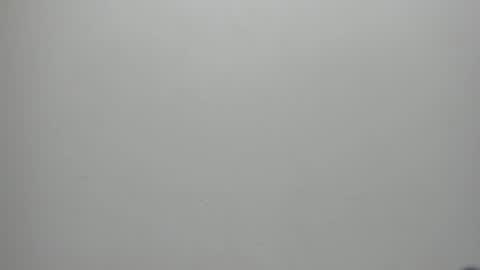 adbel sady online show from January 2025 11:17:01 AM