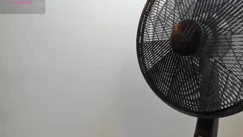 adbel sady online show from October 2025 11:14:02 AM