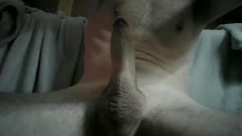 ADRY SKY online show from December 2024 12:19:02 AM