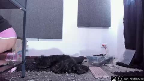 Agata Collinss online show from April 2026 05:08:02 PM