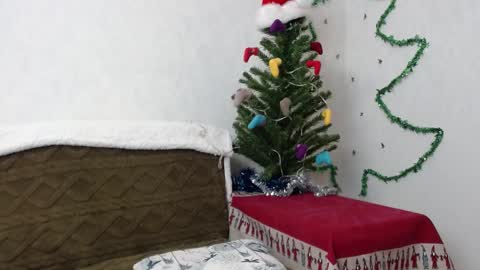 Agatha online show from January 2025 11:52:01 AM