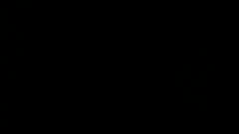 CAROLINA online show from December 2025 12:19:02 AM