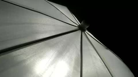 CAROLINA online show from April 2026 04:34:01 PM