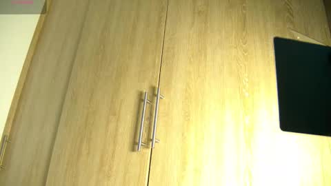 Snapshot of aidaadams chatting on October 2025 11:34:02 AM Aida online show from October 2025 11:34:02 AM