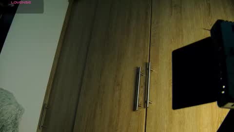 Snapshot of aidaadams chatting on November 2025 09:42:01 AM Aida online show from November 2025 09:42:01 AM