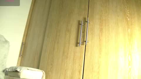 Snapshot of aidaadams chatting on November 2025 11:31:01 AM Aida online show from November 2025 11:31:01 AM