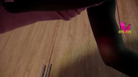 Snapshot of aidaadams chatting on December 2025 11:03:02 AM Aida online show from December 2025 11:03:02 AM