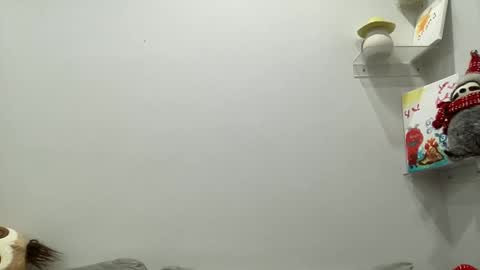 Snapshot of ailebun chatting on December 2024 03:54:02 AM Aile online show from December 2024 03:54:02 AM