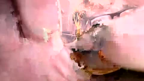 Snapshot of ajistightfeg chatting on October 2025 08:53:02 AM Ajishigh online show from October 2025 08:53:02 AM