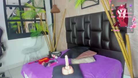 Alana online show from March 2026 11:15:02 AM