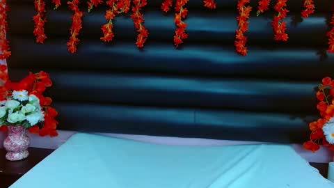 Snapshot of alasmith_ chatting on February 2025 02:17:01 AM AlaSmith online show from February 2025 02:17:01 AM