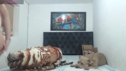 Snapshot of aleja_hornet chatting on September 2025 01:10:01 AM aleja online show from September 2025 01:10:01 AM