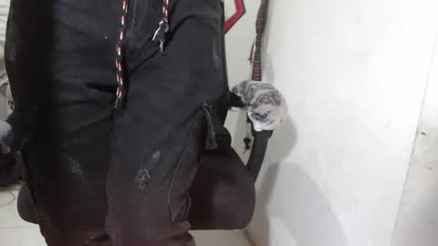 Alexamdergal online show from March 2026 12:17:02 AM