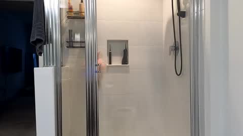 Alexi online show from January 2025 12:41:01 PM