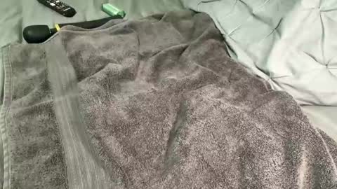 Snapshot of alexis_696969 chatting on December 2024 11:34:02 AM Alexis online show from December 2024 11:34:02 AM