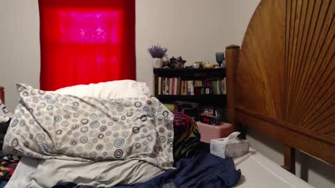 Snapshot of alexisandtherest chatting on February 2025 03:05:02 PM Alexis online show from February 2025 03:05:02 PM