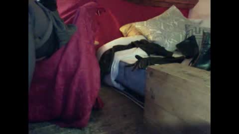 Snapshot of alexischat chatting on September 2025 04:16:01 AM alexischat online show from September 2025 04:16:01 AM