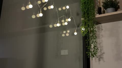 Alex online show from January 2025 06:17:01 AM