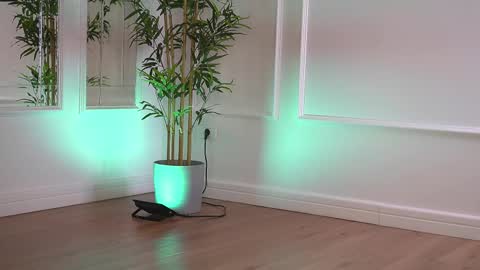 alexxiskye online show from January 2026 06:28:02 AM