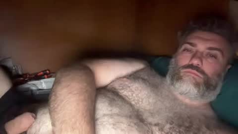 alfali online show from July 2026 07:41:02 PM