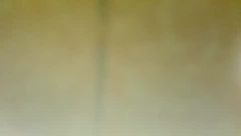 Snapshot of alfonsogomez110 chatting on January 2025 05:28:01 PM Alfonso Gomez online show from January 2025 05:28:01 PM