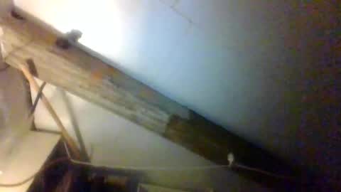 Snapshot of alfred152 chatting on June 2026 04:02:02 AM alfred152 online show from June 2026 04:02:02 AM