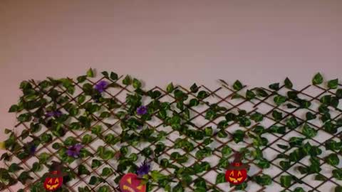 alice_rous21 online show from October 2025 02:50:02 PM