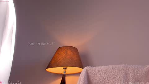 Snapshot of alicelu_ chatting on March 2025 11:58:01 AM Elle online show from March 2025 11:58:01 AM