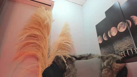 ALICE  online show from November 2025 04:01:02 AM