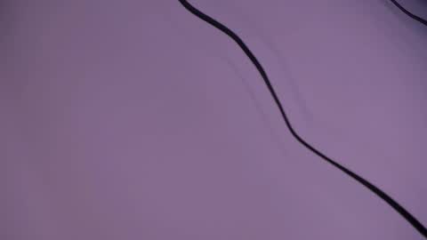 alison smith online show from December 2024 12:11:02 PM