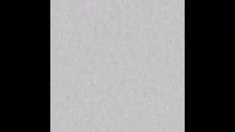 Alisse online show from February 2026 11:49:02 AM