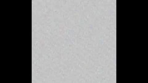 Alisse online show from February 2026 12:01:02 PM