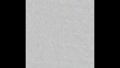 Alisse online show from March 2026 11:58:01 AM