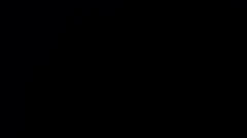 alisson online show from January 2025 01:49:01 AM