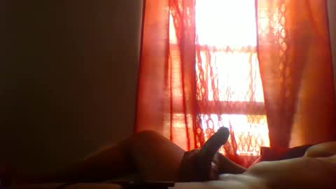 allbermy online show from May 2026 02:12:01 PM