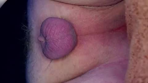 Growing Wiener online show from March 2026 12:38:01 AM