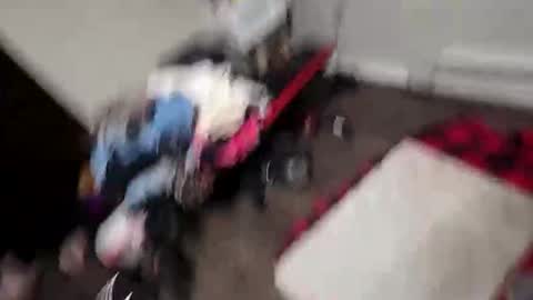 alldickandass11 online show from February 2026 11:31:02 PM