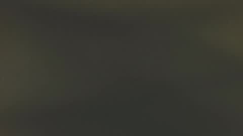 allison___taylor online show from March 2026 08:19:01 AM