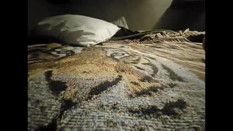 Allnikkiallday1 online show from January 2025 08:41:02 AM