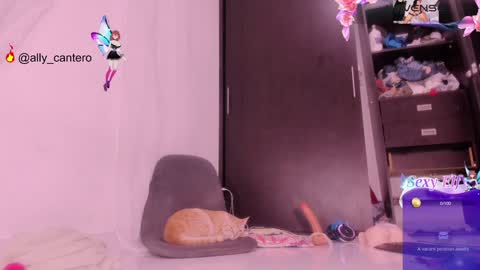 NEW VIDEOS IN MY PROFILE online show from January 2025 05:58:01 AM