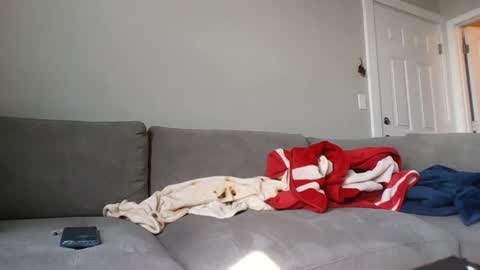 Snapshot of allylove2626 chatting on September 2025 04:39:01 PM allylove2626 online show from September 2025 04:39:01 PM