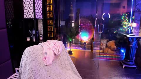 Alma online show from February 2026 08:57:02 AM